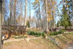 Liseskalna kapi
