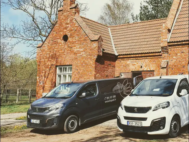 Repatriācijas pakalpojumi