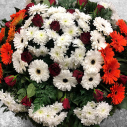 Preview image for  Bēru vainags no gerberām 80 cm Nr.161