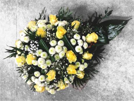 Sēru štrauss Nr.313