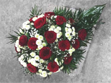 Sēru štrauss Nr.314