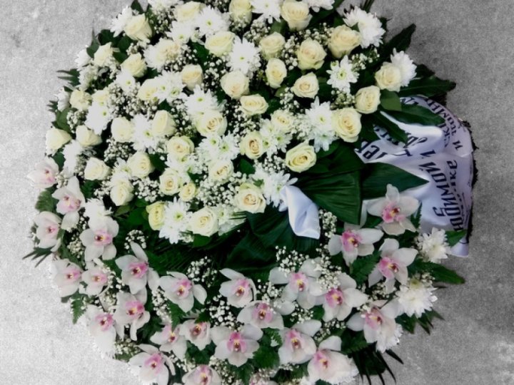 Eskluzīvie Bēru vainags Nr.241