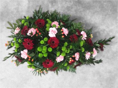 Bēru štrauss Nr.220