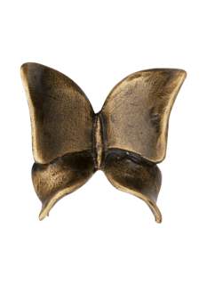 Butterfly P29 046