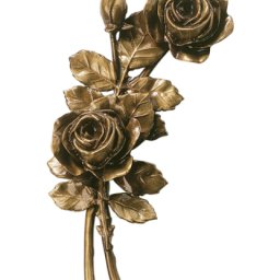 Preview image for Rose