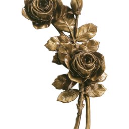 Preview image for Rose