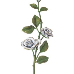 Preview image for Rose