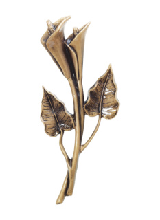Calla