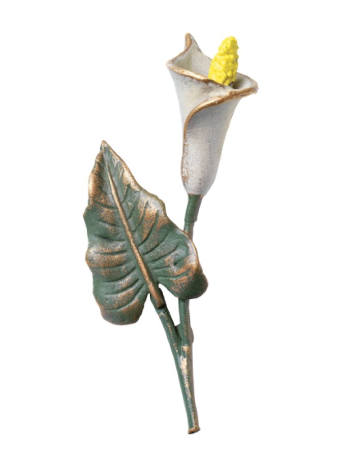 Calla