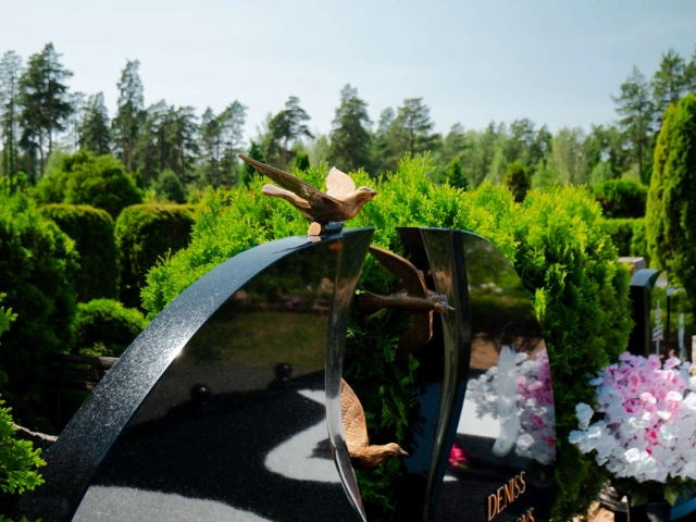 Kāpēc ir svarīgi runāt par nāvi dzīves laikā: rūpes par sevi un tuviniekiem