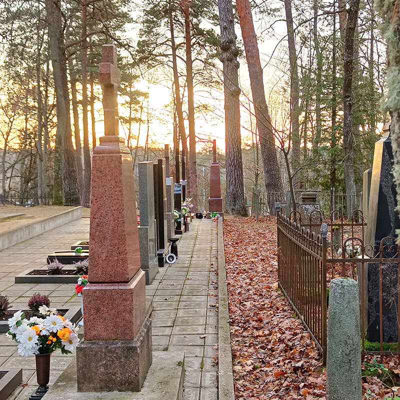 Vecmāmiņa (Paraugs)