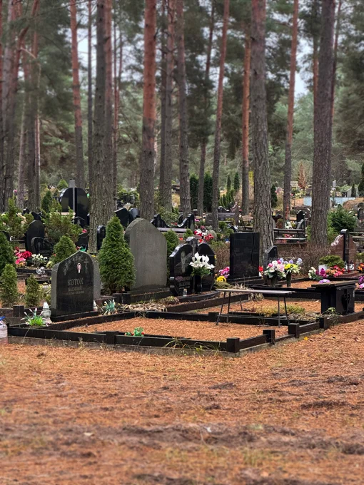 Kapavietas starp sausām priežu skujām