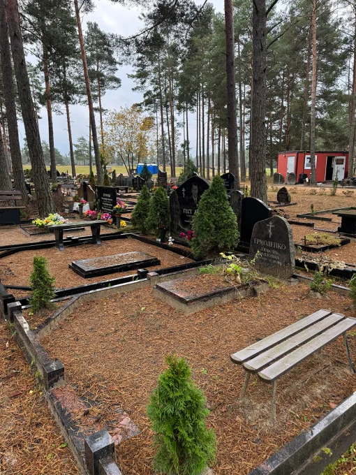 Skats uz kapu alejām un priedēm