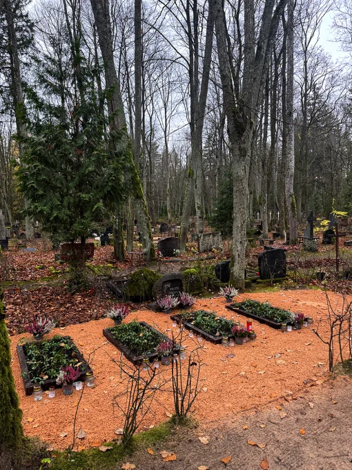 Lāčupes kapsēta ar kapavietām starp priedēm un lapkokiem