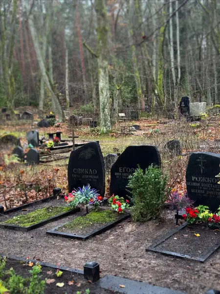 Kapavietas starp kokiem un alejas Lāčupes kapsētā