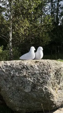 Balti granīta baloži uz laukakmens